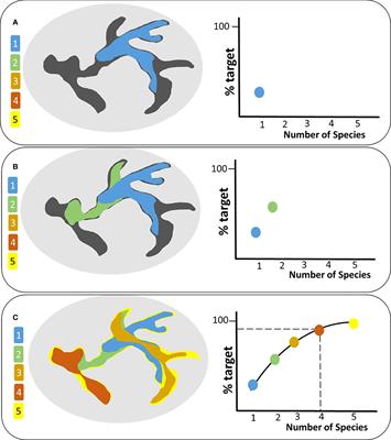 An objective approach to select surrogate species for connectivity conservation